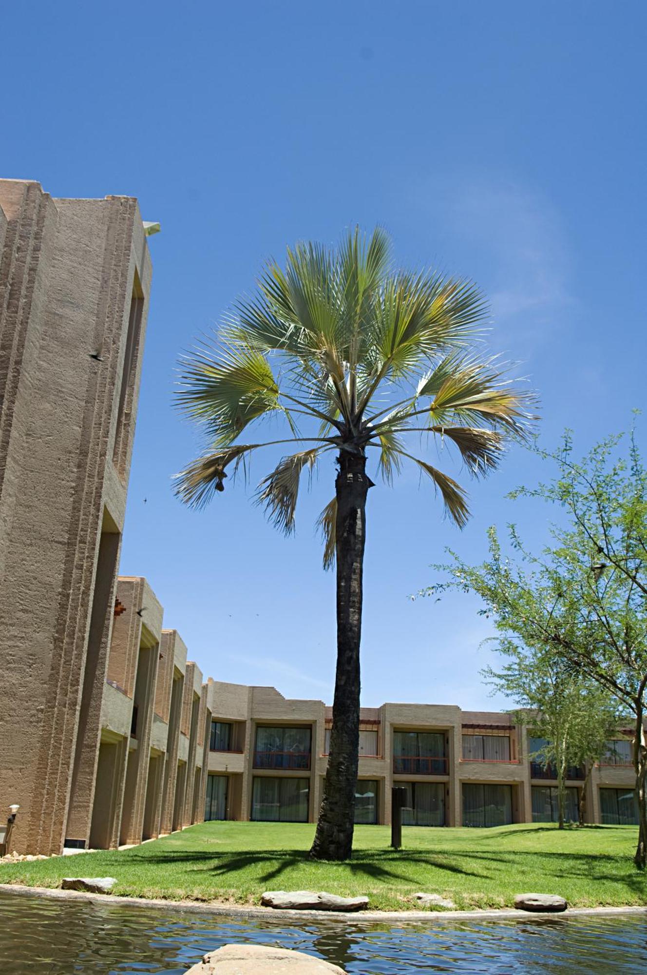 Windhoek Country Club Resort Exterior photo